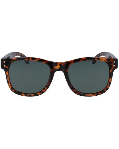 Cole Haan 53mm Classic Square Sunglasses - Blue