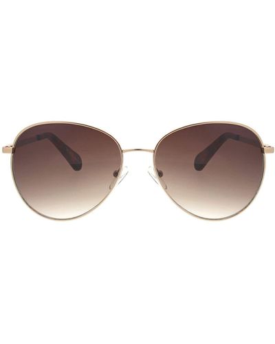 BCBGMAXAZRIA 56mm Aviator Sunglasses - Brown