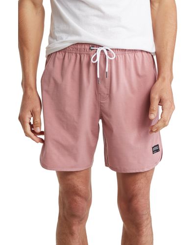 Ezekiel Scout Shorts - Pink