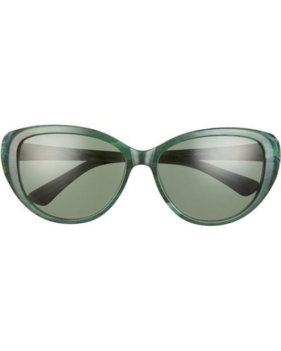 Isaac Mizrahi New York 56mm Fox Sunglasses - Green