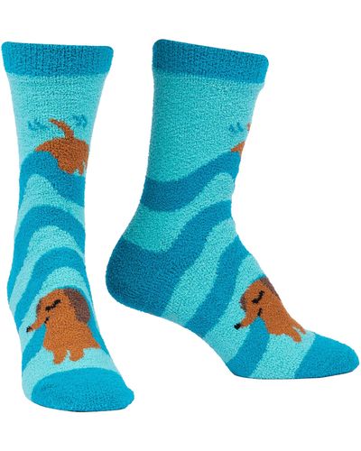 Sock It To Me Not Every Dog Socks - Blue