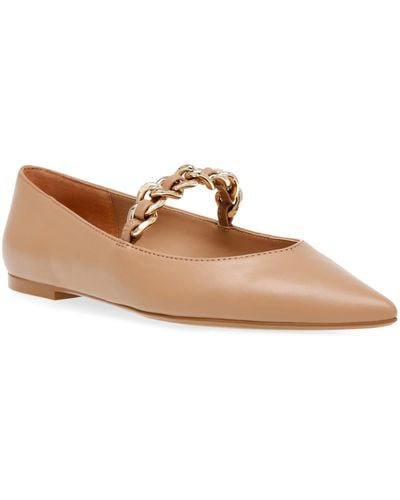 Steven New York Milla Pointed Toe Flat - Brown
