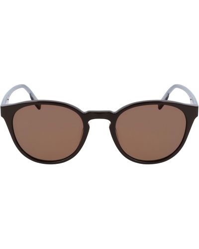 Converse Disrupt 52mm Round Sunglasses - Brown