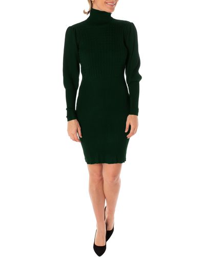 Taylor Dresses Turtleneck Long Sleeve Knit Sweater Dress - Green