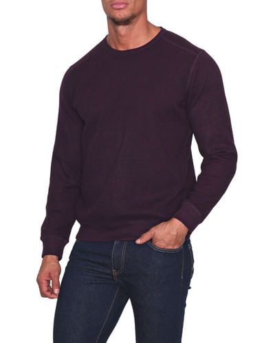 Tailorbyrd Cozy Crewneck Sweater - Blue