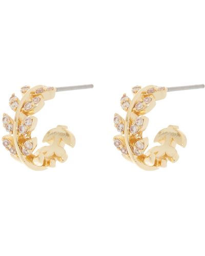 AREA STARS Vine Crystal Huggie Hoop Earrings - Metallic