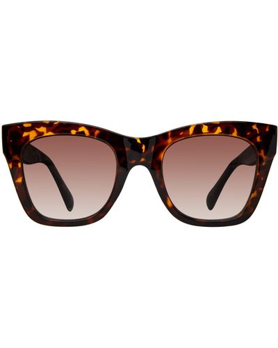 Steve Madden 55mm Manzo Square Sunglasses - Brown