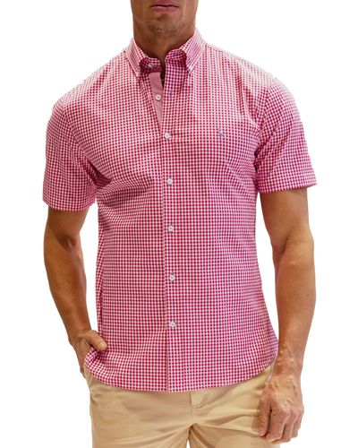 Tailorbyrd Gingham Short Sleeve Stretch Cotton Button-down Shirt - Red