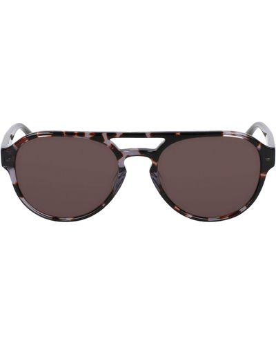Converse 55mm Aviator Sunglasses - Brown