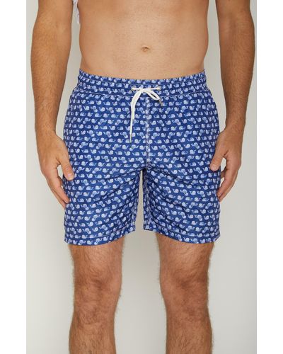 Slate & Stone Whale Print Swim Shorts - Blue