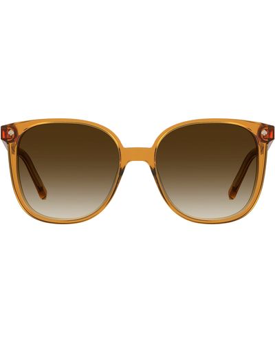 Kate Spade Kailey 54mm Cat Eye Sunglasses - Brown