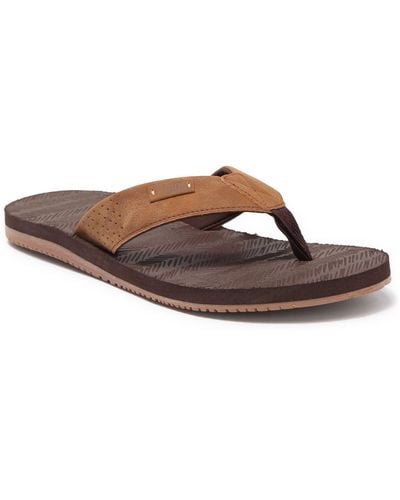 Flojos Fiji Flip Flop Sandal In Brown/gum At Nordstrom Rack
