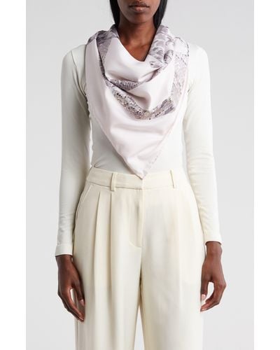 Cole Haan Snake Print Scarf - White