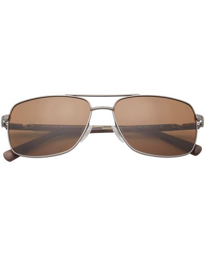 Ted Baker 59mm Navigator Sunglasses - Brown