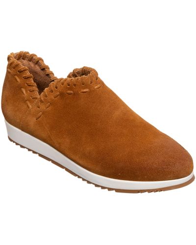 Antelope Scotty Slip-on Sneaker - Brown