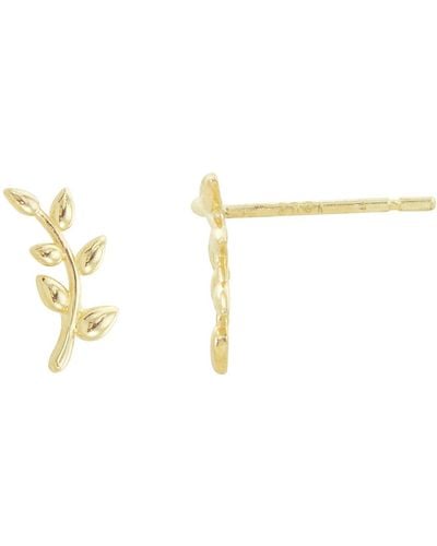 CANDELA JEWELRY 14k Gold Olive Branch Stud Earrings - Metallic