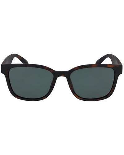 Cole Haan 53mm Small Square Sunglasses In Matte Tortoise At Nordstrom Rack - Multicolor