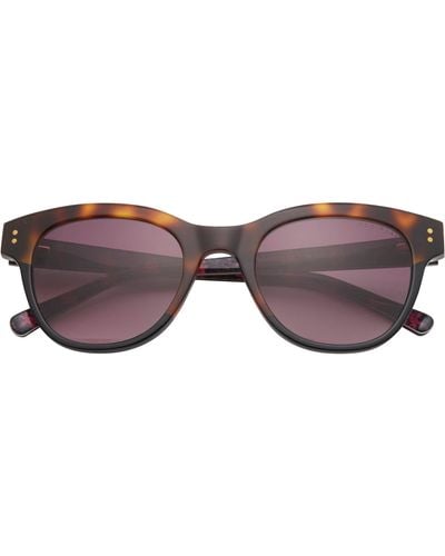 Ted Baker 52mm Cat Eye Sunglasses - Multicolor