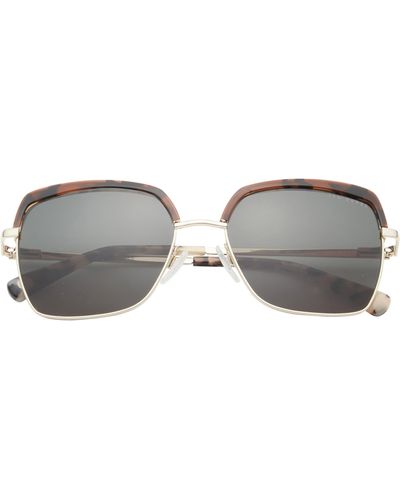 Ted Baker 55mm Square Sunglasses - Gray