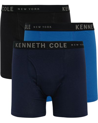 Kenneth Cole Boxer Briefs - Blue