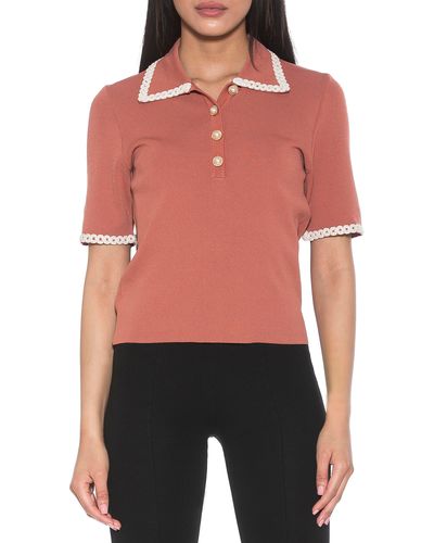 Alexia Admor Collared Knit Short Sleeve Top