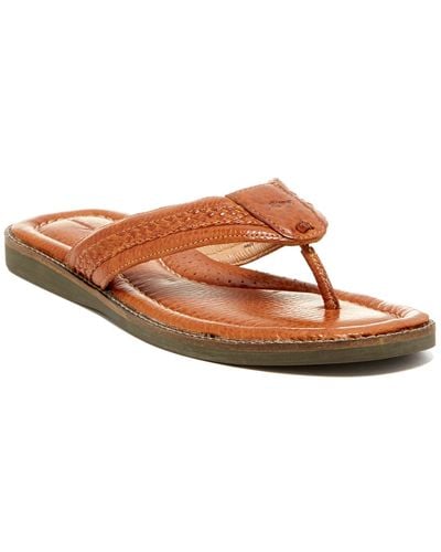 Tommy Bahama Anchors Away Flip Flop - Brown