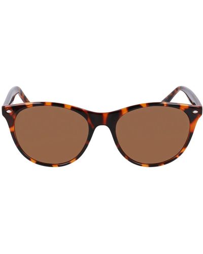 Cole Haan 55mm Cat Eye Sunglasses - Brown