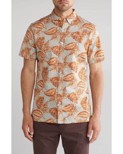 14th & Union Slub Tropical Leaf Print Shirt - Brown