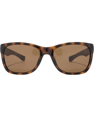 Lacoste 54mm Square Sunglasses - Brown