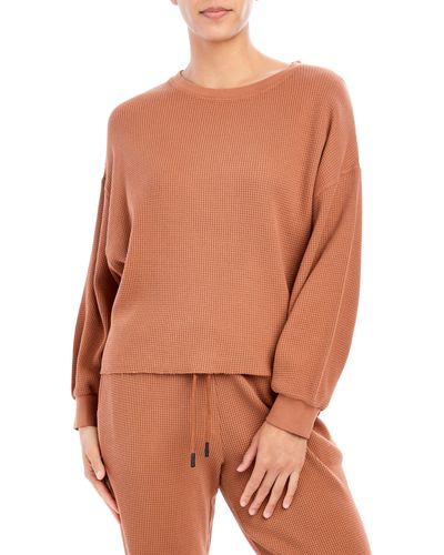 SAGE Collective Delilah Waffle Knit Pullover - Brown