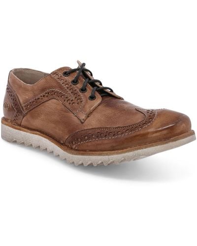 Bed stu best sale wingtip