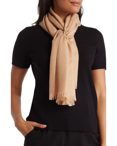 Amicale Solid Pashmina Scarf - Black