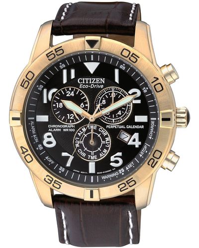 Citizen Eco-drive Chrono Alarm Wr 100m Black Dial Croc Embossed Leather Watch - Brown