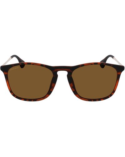 Cole Haan 55mm Square Sunglasses - Natural