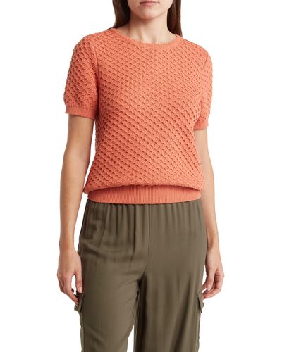 Melrose and Market Textured Short Sleeve Cotton Sweater