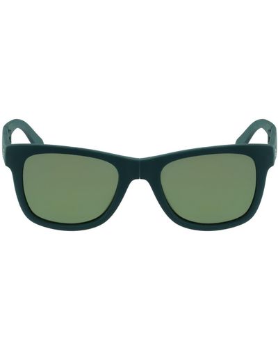 Lacoste 52mm Foldable Retro Frame Sunglasses - Green