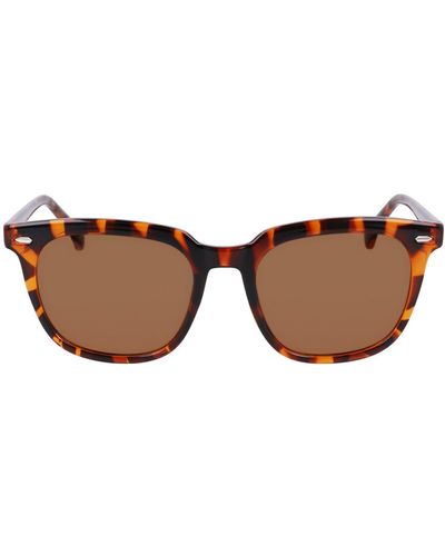 Cole Haan 53mm Square Sunglasses - Brown