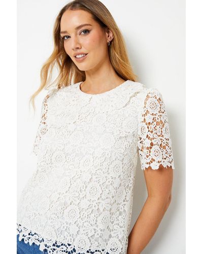 Oasis Lace Collared Top - White