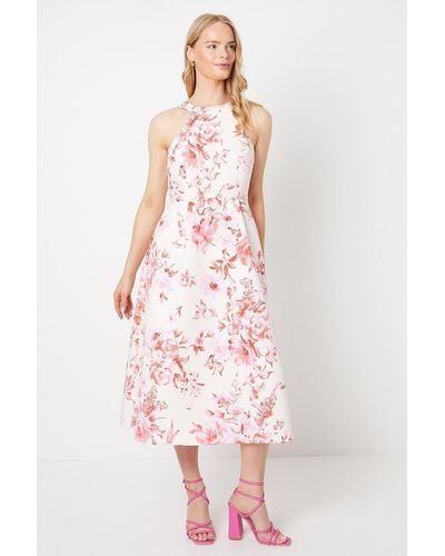 Oasis Floral Ottoman Twill Halter Midi Dress - Pink