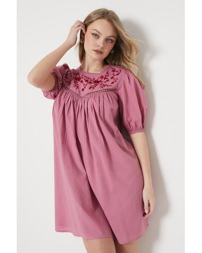 Oasis Floral Embroidered Puff Sleeve Mini Dress - Pink