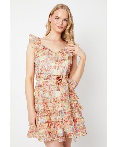 Oasis Ditsy Floral Ruffle Organza Mini Dress - Multicolour