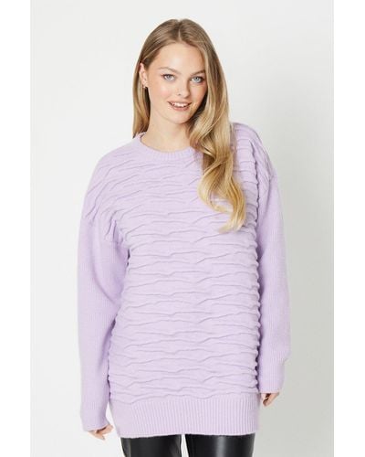 Oasis Oversized Boxy Rib Sleeve Knitted Jumper - Purple