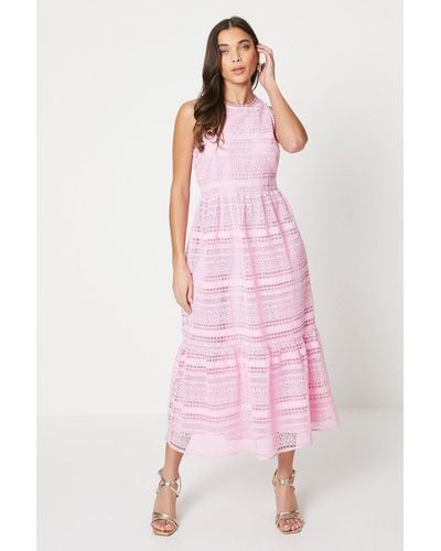 Oasis Petite Lace Sleeveless Midaxi Dress - Pink