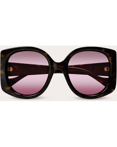 Gucci Shiny Havana & Burgundy Butterfly Sunglasses - Brown