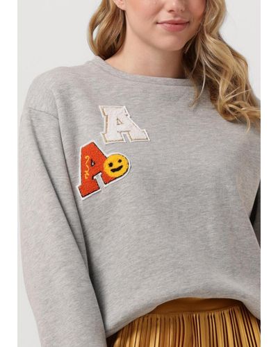 Amaya Amsterdam Sweatshirt Stevi Sweater - Grau