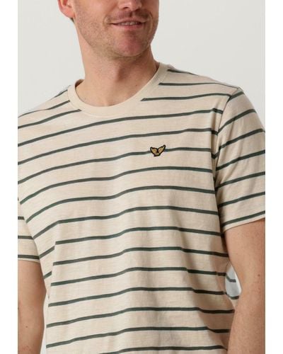 PME LEGEND T-shirt Short Sleeve R-neck Space Yd Striped Jersey Nicht-gerade - Braun