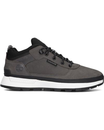 Timberland Sneaker Low Field Trekker Low - Schwarz