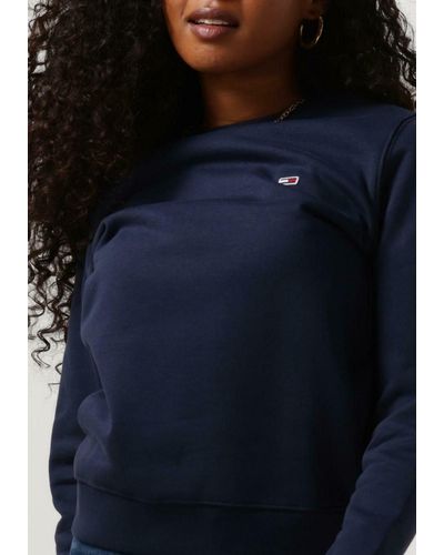Tommy Hilfiger Sweatshirt Tjw Regular Fleece C Neck - Blau