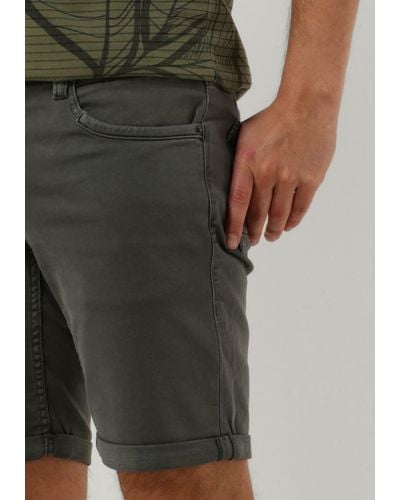 PME LEGEND Kurze Hose Tailwheel Shorts Colored Sweat - Grün