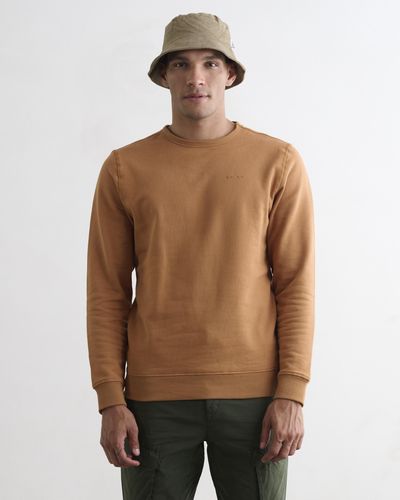 J.C. RAGS Sweater - Bruin
